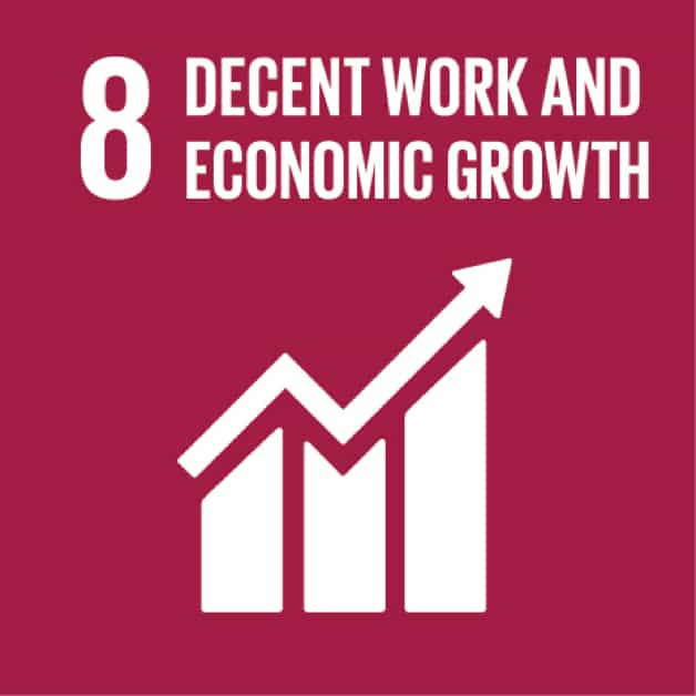 Promote sustained, inclusive and sustainable economic growth, full and productive employment and decent work for all